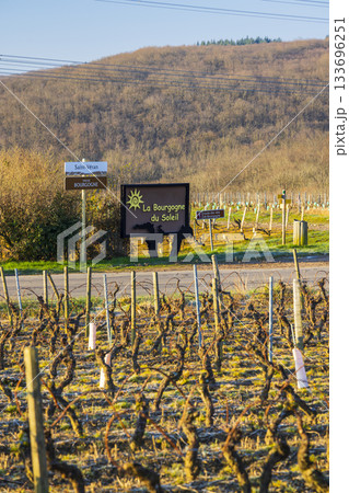 Solutre Pouilly vineyard presenting Bourgogne and Saint Veran wine route signs 133696251