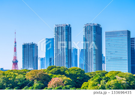 日本の東京都市景観 六本木ヒルズや麻布台ヒルズ森JPタワー、東京タワーなどを望む 日本の東京都市景観 六本木ヒルズや麻布台ヒルズ森JPタワー、東京タワーなどを望む 133696435