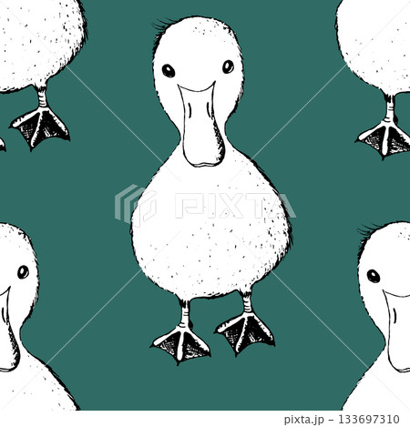 Seamless pattern with funny birds, flowers, leaves. Flat vector illustration with cartoon bird silhouette. Cute duck characters. Design for invitation, poster, card, textile, fabric 133697310