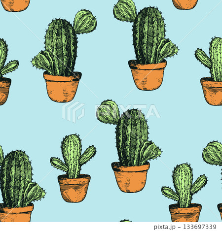 Seamless pattern with cacti, blooming succulent on color background. Vector hand drawn illustration for packaging, fabric, textile. Wild west cactus, western concept 133697339