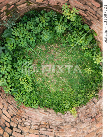 Top view of deep old brick dry water-well with green grass plant 133697521