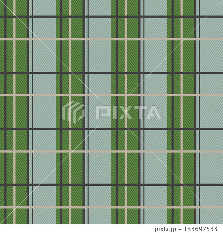 Green Scotland textile seamless pattern. Fabric texture check tartan plaid. Abstract geometric background for cloth, card, fabric. Monochrome graphic repeating design. Modern squared ornament 133697533