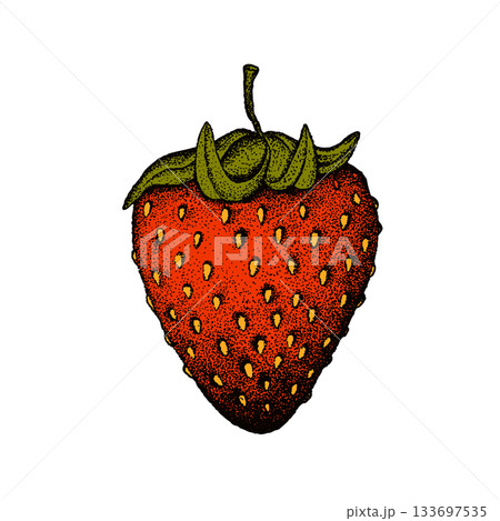 Strawberries, wild strawberries, fruits. Ripe sweet berries. Сlipart desing. Strawberries silhouette vector illustration. Natural delicious fresh ripe tasty fruit. Food concept 133697535