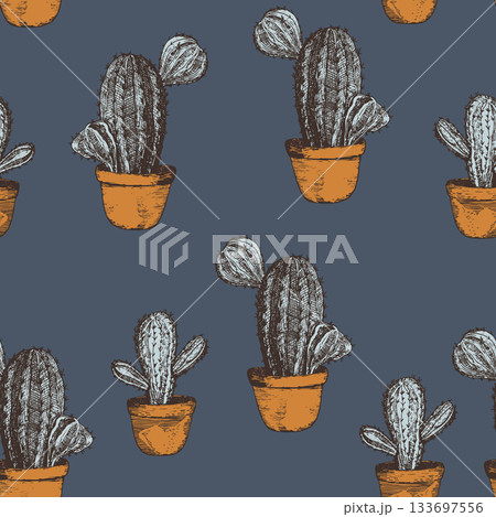 Seamless pattern with cacti, blooming succulent on color background. Vector hand drawn illustration for packaging, fabric, textile. Wild west cactus, western concept 133697556