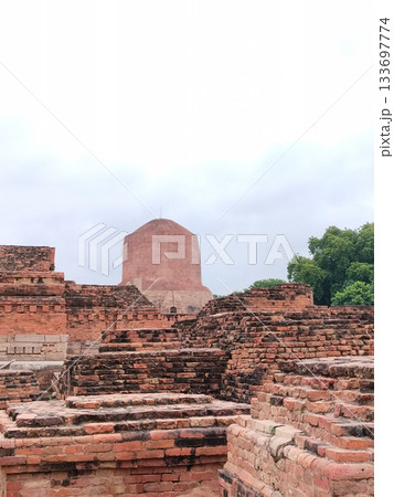 Dhamekh Stupa and ruins, Sarnath, Varanasi, India 133697774
