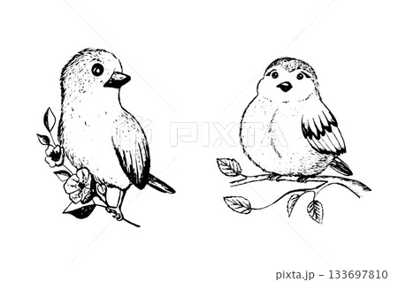 Coloring book happy birds for kids. Funny birds, flowers, leaves and berries. Flat vector illustration with cartoon bird silhouette. Cute characters. Minimalist poster design Coloring book happy birds for kids. Funny birds, flowers, leaves and berries. Flat vector illustration with cartoon bird silhouette. Cute characters. Minimalist poster design 133697810