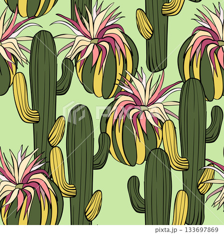 Seamless pattern with cacti, blooming succulent on color background. Vector hand drawn illustration for packaging, fabric, textile. Wild west cactus, western concept Seamless pattern with cacti, blooming succulent on color background. Vector hand drawn illustration for packaging, fabric, textile. Wild west cactus, western concept 133697869