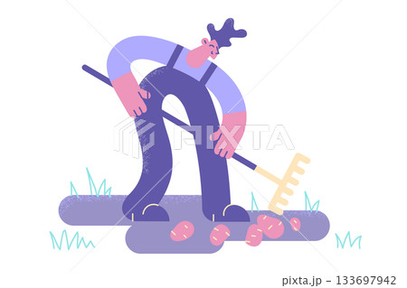 Growing potato and farming concept. 133697942