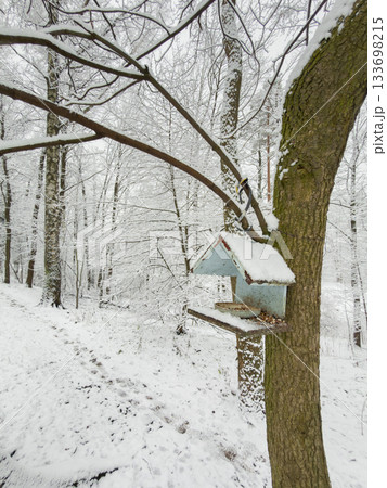 birdhouse feeder on tree branches, it is snowing heavily in the park, large flakes of snow are slowly falling on tree branches 133698215