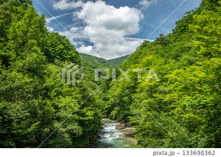 群馬県中之条町・万沢林道を流れる白砂川と夏の深緑の渓谷美 群馬県中之条町・万沢林道を流れる白砂川と夏の深緑の渓谷美 133698362
