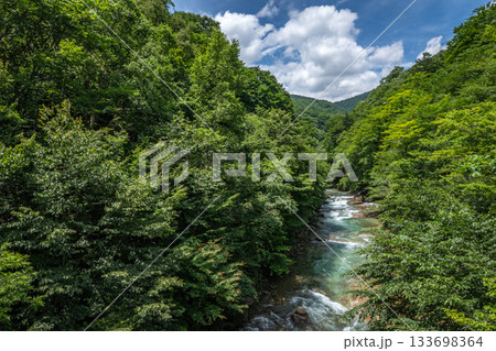 中之条町・万沢林道を流れる白砂川と夏の深緑に包まれた渓谷の清流 中之条町・万沢林道を流れる白砂川と夏の深緑に包まれた渓谷の清流 133698364