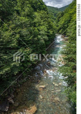 中之条町・万沢林道を流れる白砂川の透明な清流と夏の渓谷風景 133698368