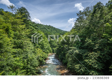 夏の中之条町・万沢林道を流れる白砂川と深緑の渓谷風景 133698369