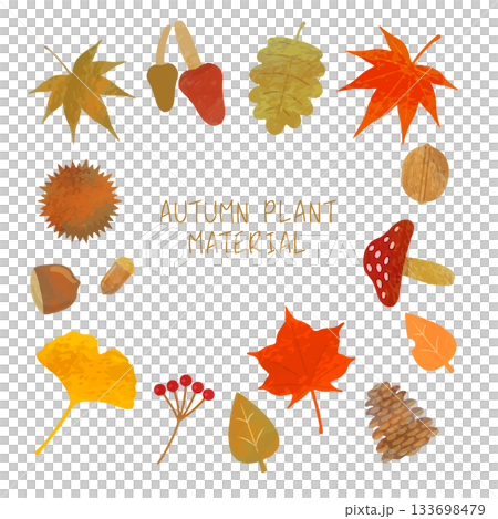 Autumn plant illustration set 133698479