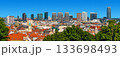 Beautiful panorama of Bratislava, Slovakia 133698493