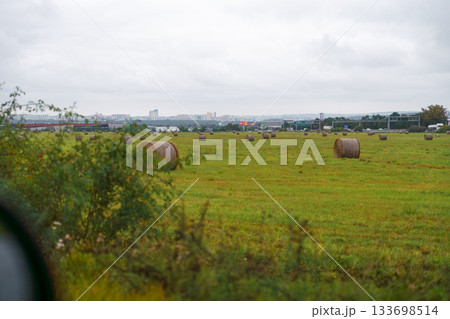Round hay bales on green field with city skyline and road traffic in background under cloudy sky. 133698514