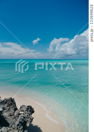 Tropical Beach with Clear Turquoise Water Tropical Beach with Clear Turquoise Water 133698628