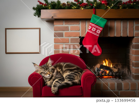 A Maine Coon cat sleeping in a red armchair by a cozy Christmas fireplace. Festive holiday home interior with a blank frame for copy space A Maine Coon cat sleeping in a red armchair by a cozy Christmas fireplace. Festive holiday home interior with a blank frame for copy space 133699456