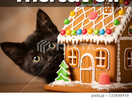 A cute black kitten peeking from behind a festive gingerbread house. Adorable domestic cat celebrating the Christmas holidays with sweet treats A cute black kitten peeking from behind a festive gingerbread house. Adorable domestic cat celebrating the Christmas holidays with sweet treats 133699459
