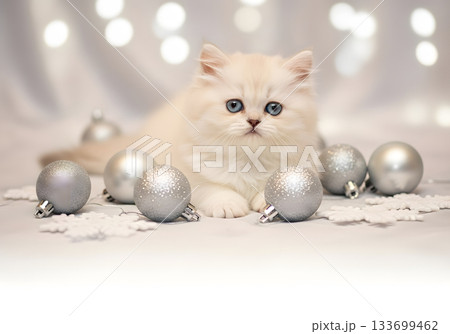 A cute fluffy white kitten with blue eyes lying among silver christmas ornaments. Festive holiday pet concept with bokeh background 133699462