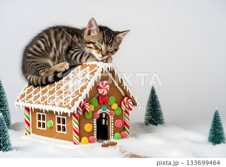 A cute tabby kitten sleeping on a gingerbread house. Festive Christmas holiday scene with candy and snow. Whimsical animal concept with copy space 133699464