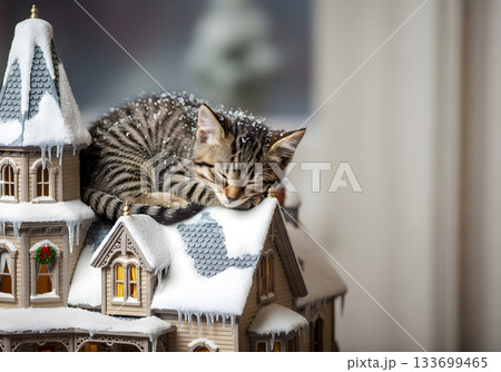 Adorable tabby kitten sleeping on a snowy miniature Christmas house. Cute pet resting on a festive holiday village decoration with copy space 133699465