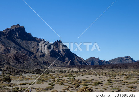 Nature of Teide National Park, Tenerife, Spain 133699935