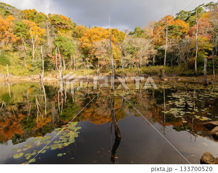 木々が色づく六甲の横池・雌池　 133700520