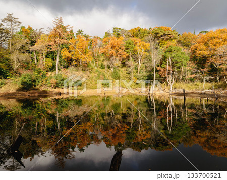 木々が色づく六甲の横池・雌池 木々が色づく六甲の横池・雌池 133700521