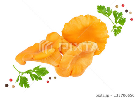 Chanterelle mushroom isolated on a white background. Top view. Flat lay 133700650