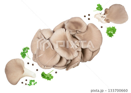 Oyster mushrooms isolated on white background with full depth of field Oyster mushrooms isolated on white background with full depth of field 133700660