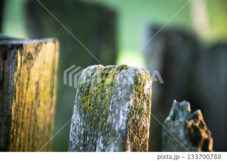 A cluster of mosscovered rocks rests beside each other in a peaceful cemetery, blending into the natural landscape with grass and surrounding trees 133700788