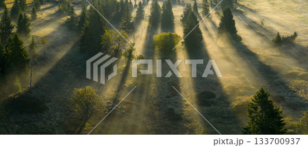 Golden sunrise over misty forest and lake in Northern Bohemia, Czech Republic. Morning fog, soft light, and tranquil atmosphere captured in high resolution, perfect for fine art prints. Golden sunrise over misty forest and lake in Northern Bohemia, Czech Republic. Morning fog, soft light, and tranquil atmosphere captured in high resolution, perfect for fine art prints. 133700937