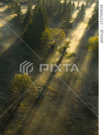 Golden sunrise over misty forest and lake in Northern Bohemia, Czech Republic. Morning fog, soft light, and tranquil atmosphere captured in high resolution, perfect for fine art prints. Golden sunrise over misty forest and lake in Northern Bohemia, Czech Republic. Morning fog, soft light, and tranquil atmosphere captured in high resolution, perfect for fine art prints. 133700938