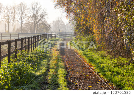 Rural path with wooden fences and fallen leaves, flanked by autumn trees and morning sunlight casting long shadows in a peaceful countryside setting. 133701586