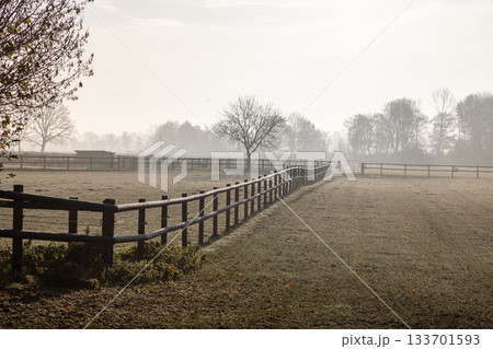 Diagonal wooden fence across frosty pasture, misty background with bare trees evokes calm rural depth and seasonal transition. 133701593