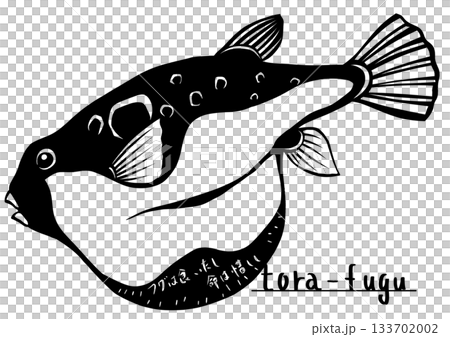 最初フグを食べた人は凄い勇気だねトラフグ切り絵イラスト 133702002