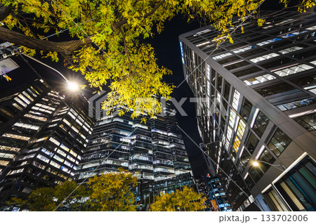 Night view of downtown skyscrapers with illuminated windows and autumn trees under city lights. Night view of downtown skyscrapers with illuminated windows and autumn trees under city lights. 133702006