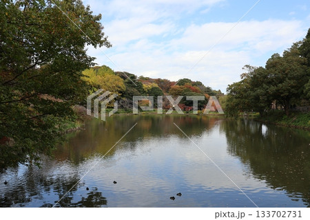 紅葉の三ツ池公園（横浜市鶴見区） 133702731