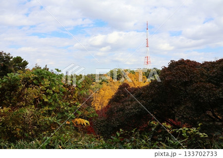 紅葉の三ツ池公園(横浜市鶴見区) 紅葉の三ツ池公園(横浜市鶴見区) 133702733