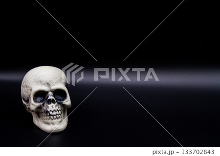 黒背景 頭蓋骨(スカル)の置物 黒背景 頭蓋骨(スカル)の置物 133702843