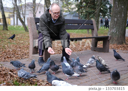 Pigeons eating feed on hand with blurred motion Pigeons eating feed on hand with blurred motion 133703815