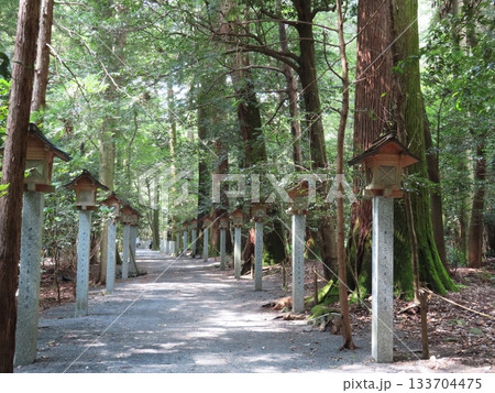 伊勢国一宮 猿田彦大本宮 椿大神社、伊勢国鈴鹿山系の中央麓に鎮座する二千年の歴史を持つ神社、参道 伊勢国一宮 猿田彦大本宮 椿大神社、伊勢国鈴鹿山系の中央麓に鎮座する二千年の歴史を持つ神社、参道 133704475
