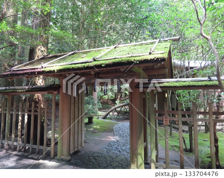 伊勢国一宮 猿田彦大本宮 椿大神社、伊勢国鈴鹿山系の中央麓に鎮座する二千年の歴史を持つ神社、茶室 133704476