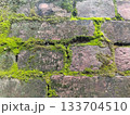 close up Brick wall covered with green moss. Old brick wall is wet and covered with thick moss.  133704510