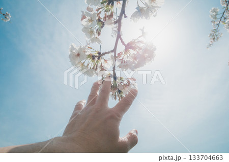 various various 133704663
