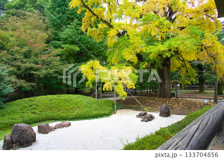 秋の日本庭園 133704856