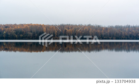 Calm autumn lake landscape with forest reflection 133704938
