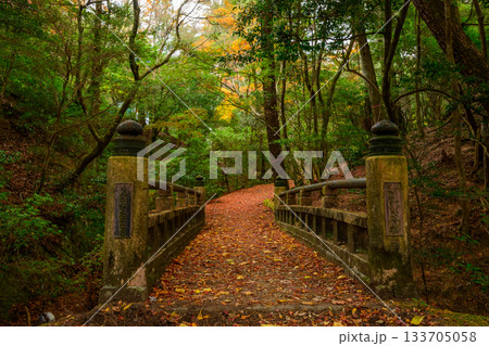 宮島の忘れ去られた橋 133705058