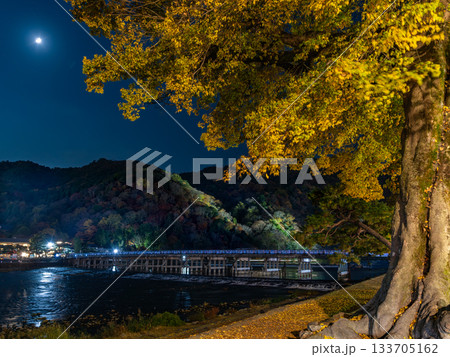 渡月橋とライトアップされた嵐山の夜景 渡月橋とライトアップされた嵐山の夜景 133705162